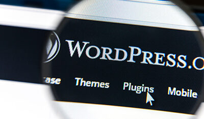 The Complete WordPress SEO Plugin Mastery