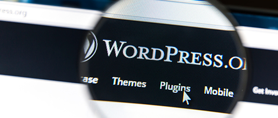 The Complete WordPress SEO Plugin Mastery